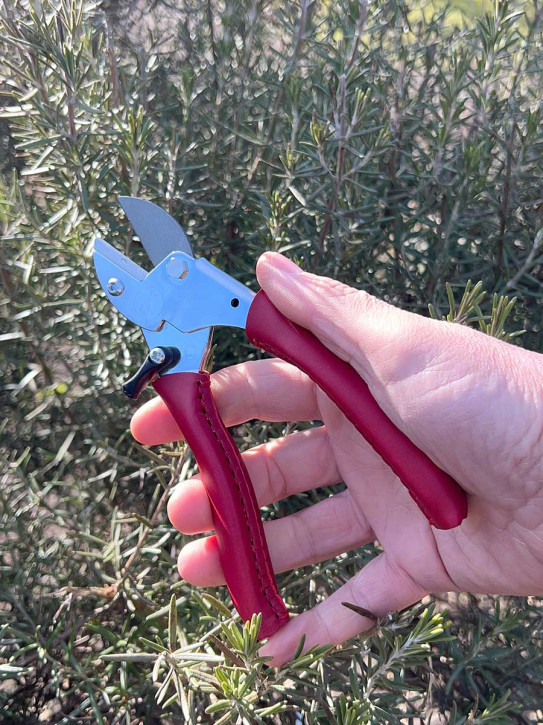 Chop Chop Bloom Gartenschere mit Ledergriff Chili Pepper Burgundy