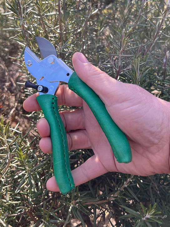 Chop Chop Bloom Gartenschere mit Ledergriff Dragon Tree Tropical Green