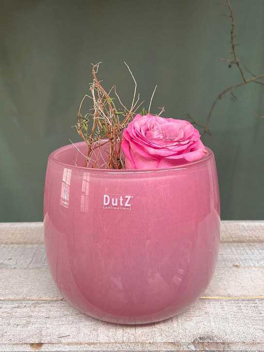 DutZ Collection Glas Pot Übertopf Vase Windlicht bauchig H18 D20 fuchsia