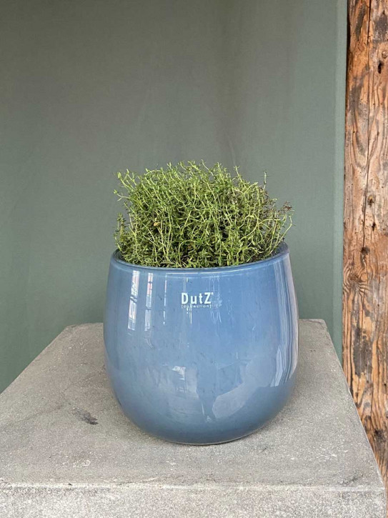 DutZ Collection Glas Pot Übertopf Vase Windlicht bauchig H18 D20 jeans