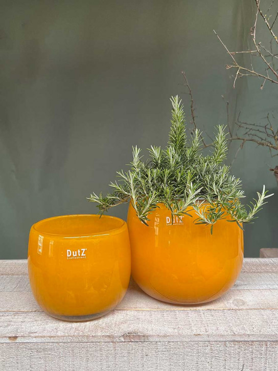 DutZ Collection Glas Pot Übertopf Vase Windlicht bauchig H18 D20 ocker