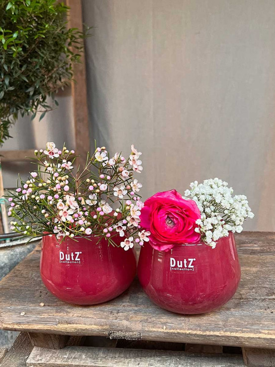 DutZ Collection Glas Übertopf Vase Windlicht bauchig H7 D10 raspberry