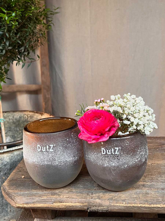 DutZ Collection Glas Übertopf Vase Hurricane Diva Antic amber