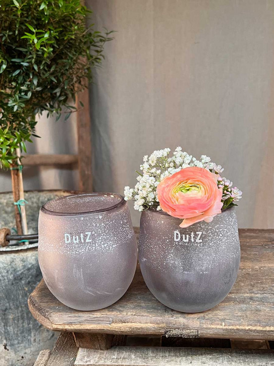 DutZ Collection Glas Übertopf Vase Hurricane Diva Antic aubergine H10 D10