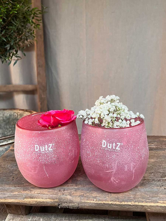 DutZ Collection Glas Übertopf Vase Hurricane Diva Antic fuchsia H10 D10
