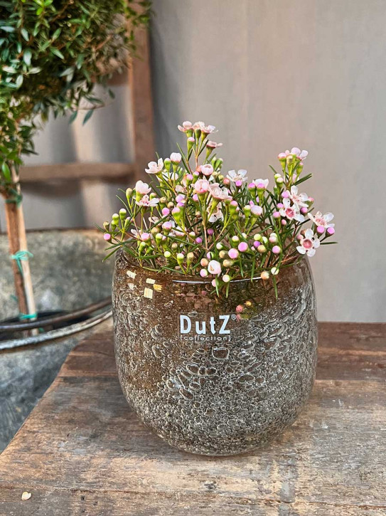 DutZ Collection Glas Übertopf Vase Hurricane Diva Bubble Amber H11