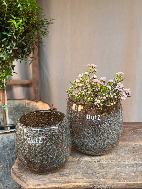 DutZ Collection Glas Übertopf Vase Hurricane Diva Bubble Amber