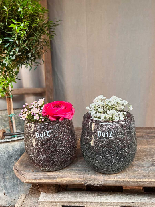 DutZ Collection Glas Übertopf Vase Hurricane Diva Bubble Fuchsia H10