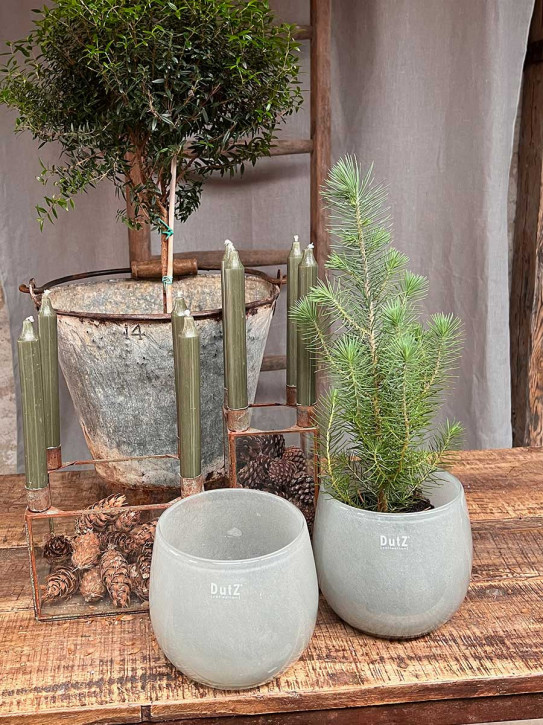 DutZ Collection Glas Pot Übertopf Vase Windlicht bauchig H14 D16 lichtgrau