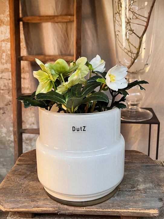 DutZ Collection Übertopf Maartje weiß L