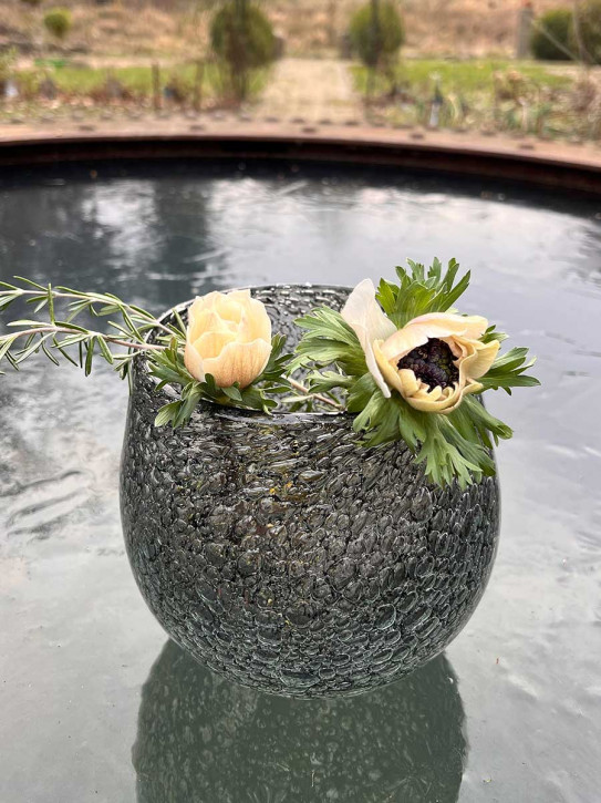 DutZ Collection Glas Übertopf Vase Hurricane Diva Bubble grey H17