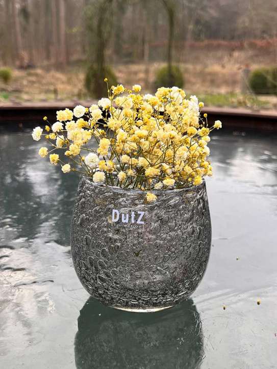 DutZ Collection Glas Übertopf Vase Hurricane Diva Bubble Olivegrey H11