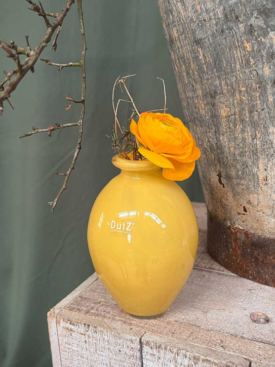 DutZ Collection bauchige Glas Vase Nadiel yellow gelb H14 D8