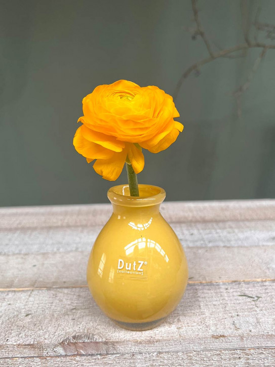 DutZ Collection bauchige Glas Vase Nadiel yellow gelb Mini H10 D8