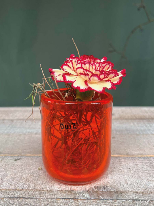 DutZ Collection Glas Pot Votive Cup H9 D8 orange transparent
