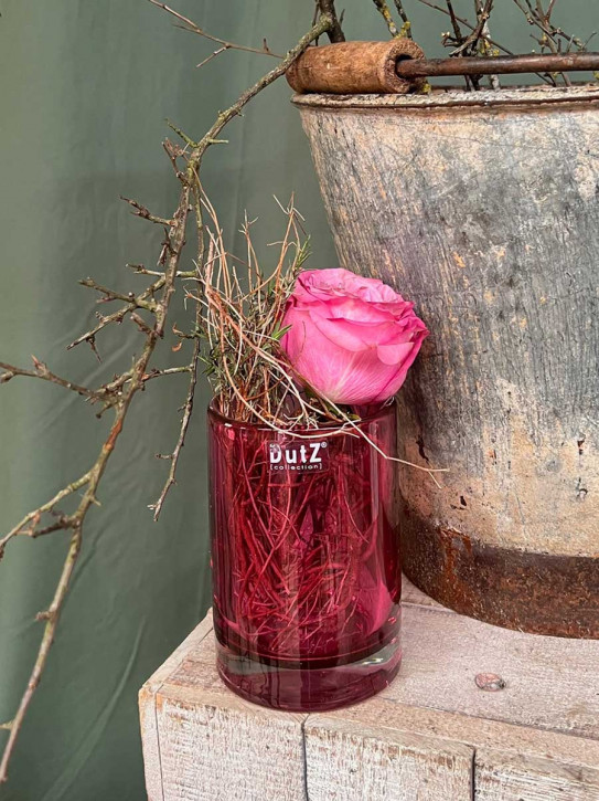 DutZ Collection Glas Vase Cylinder fuchsia transparent H15