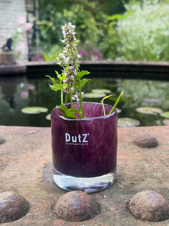 DutZ Collection Votive Glas Windlicht Vase Cylinder plum H7