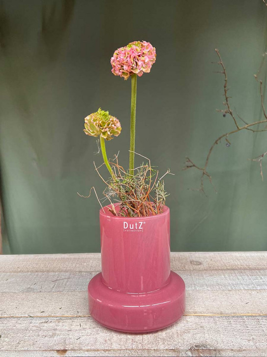 DutZ Collection Glas Vase Sharpo mini rose H16 D14
