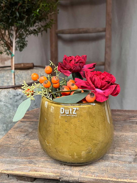 DutZ Collection Glas Pot Übertopf Vase Windlicht bauchig H11 D13 olivgrün