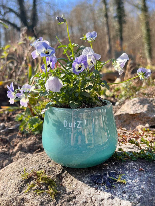 DutZ Collection Glas Übertopf Vase Windlicht bauchig H7 D10 jade