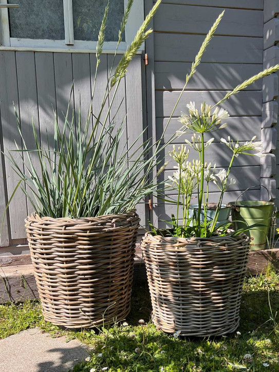 Rattan Pflanzkorb mit Einsatz H43