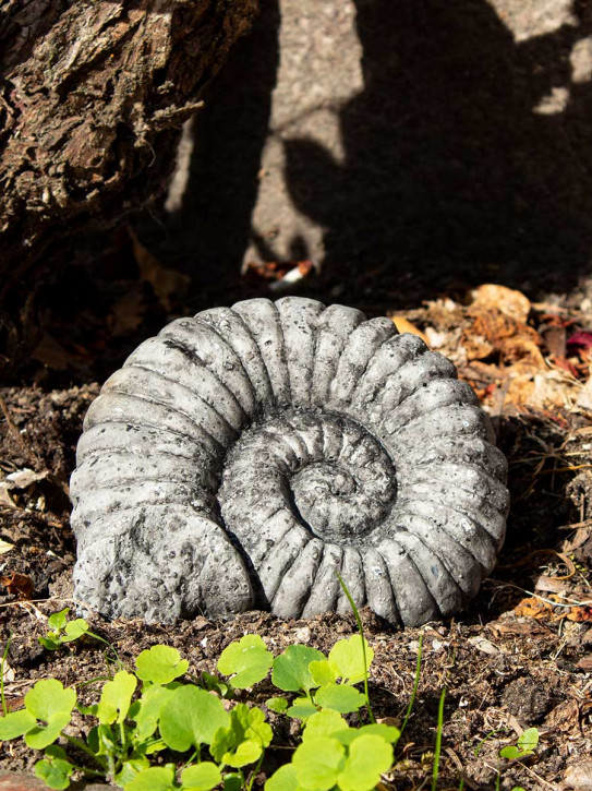Ammonit Schnecke Steinfigur Fossil
