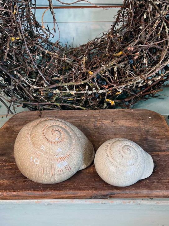 Keramik Muschel Merle creme salbei L