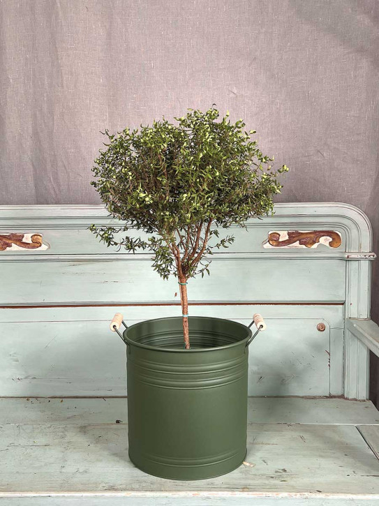 Metalleimer Zenon grün mit Holzgriffen XL H25