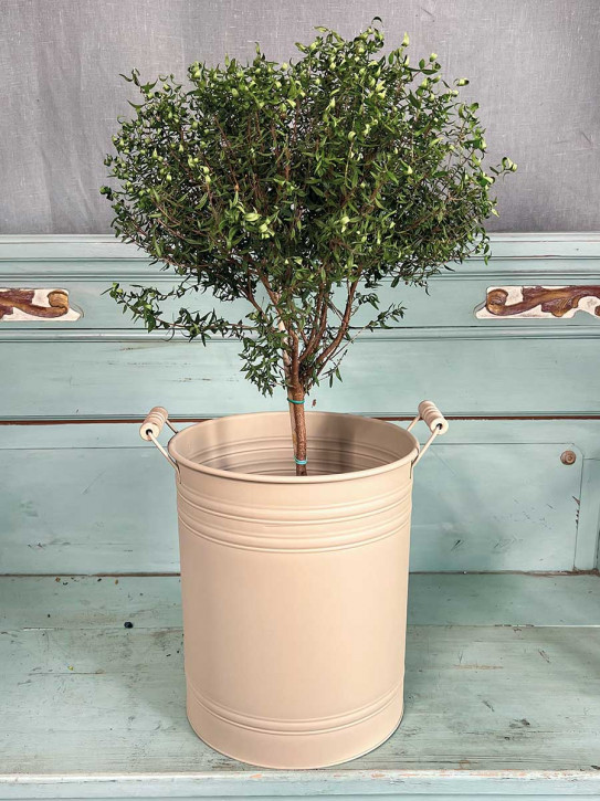 Metalleimer Zenon sand mit Holzgriffen XXXL H40