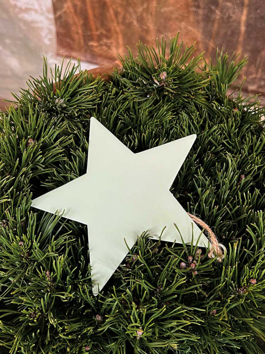 Metallstern hellgrün lackiert Stern M zum Aufhängen D12