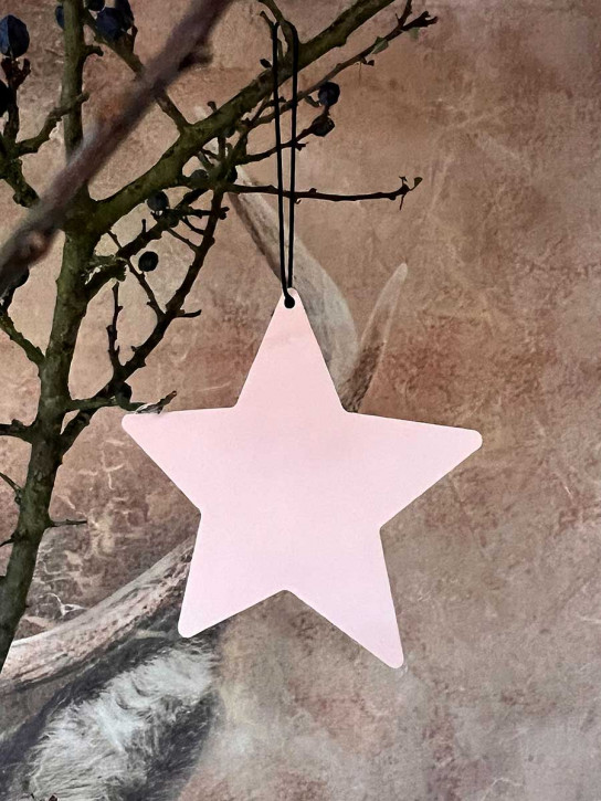 Metallstern blush matt Stern M zum Aufhängen D12