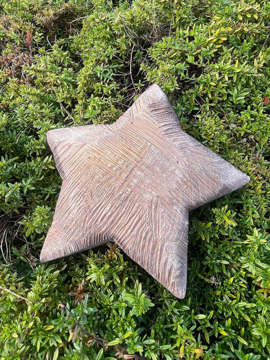 WMG Holz - Stern gewölbt graubraun Pappel gesägt H23