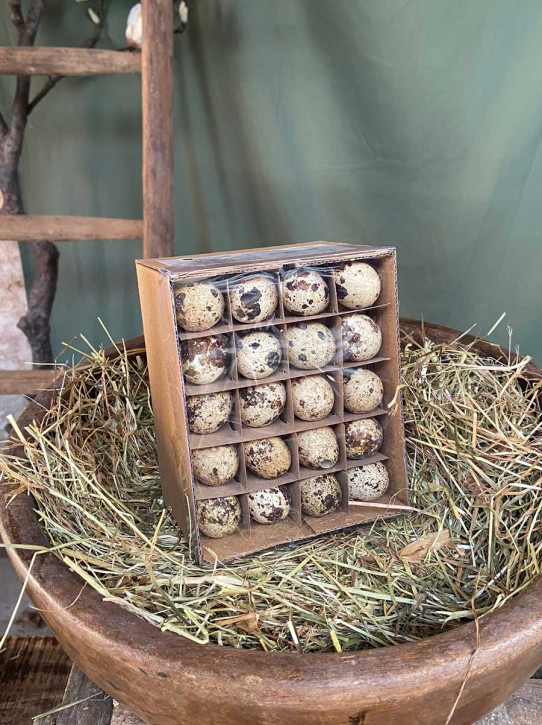 Wachteleier ausgeblasen natur 60 Stück