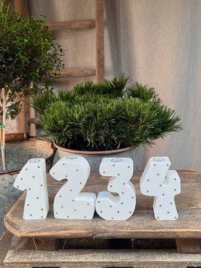 Advent Holzziffern Set 1234 Kerzenhalter weiß-gold klein Madleys H9.5