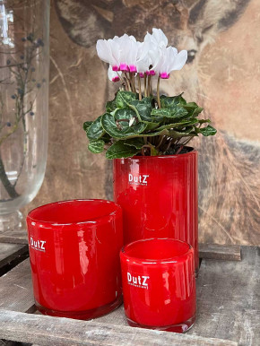 DutZ Collection Glas Vase Cylinder rot H15