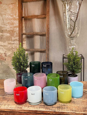 DutZ Collection Glas Übertopf Windlicht Vase Cylinder fuchsia transparent H10