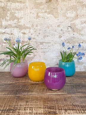 DutZ Collection Glas Pot Übertopf Vase Windlicht bauchig H11 D13 ocker