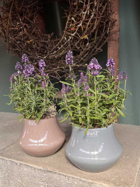DutZ Collection Glas Pot Marco nebula H11 D14