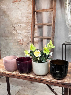 DutZ Collection Übertopf Pot Wide H15 D17 smoke