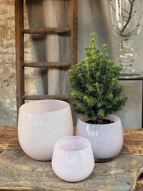 DutZ Collection Glas Pot Übertopf Vase Windlicht bauchig H11 D13 altrosa