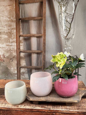 DutZ Collection Glas Pot Übertopf Vase Windlicht bauchig H14 D16 fuchsia