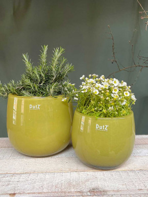 DutZ Collection Glas Pot Übertopf Vase Windlicht bauchig H18 D20 chartreuse