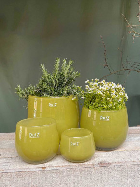 DutZ Collection Glas Pot Übertopf Vase Windlicht bauchig H18 D20 chartreuse