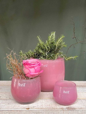 DutZ Collection Glas Pot Übertopf Vase Windlicht bauchig H14 D16 fuchsia