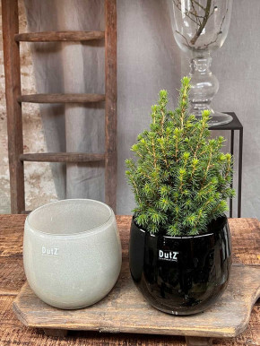 DutZ Collection Glas Pot Übertopf Vase Windlicht bauchig H14 D16 smoke