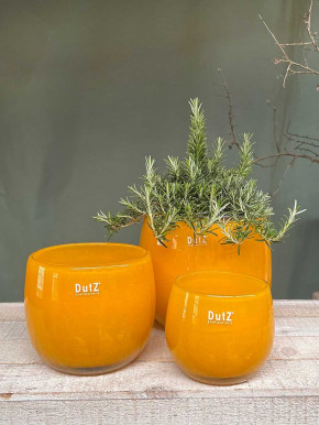 DutZ Collection Glas Pot Übertopf Vase Windlicht bauchig H11 D13 ocker