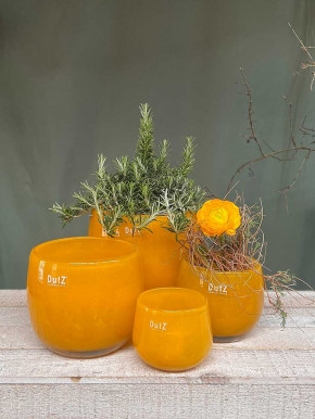 DutZ Collection Glas Pot Übertopf Vase Windlicht bauchig H18 D20 ocker