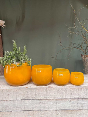 DutZ Collection Glas Pot Übertopf Vase Windlicht bauchig H11 D13 ocker