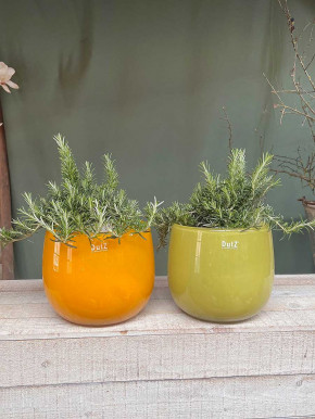 DutZ Collection Glas Pot Übertopf Vase Windlicht bauchig H18 D20 ocker