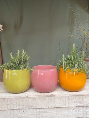 DutZ Collection Glas Pot Übertopf Vase Windlicht bauchig H18 D20 chartreuse